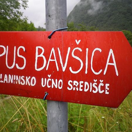 Pus Bavsica Hostel Log pod Mangartom Kültér fotó