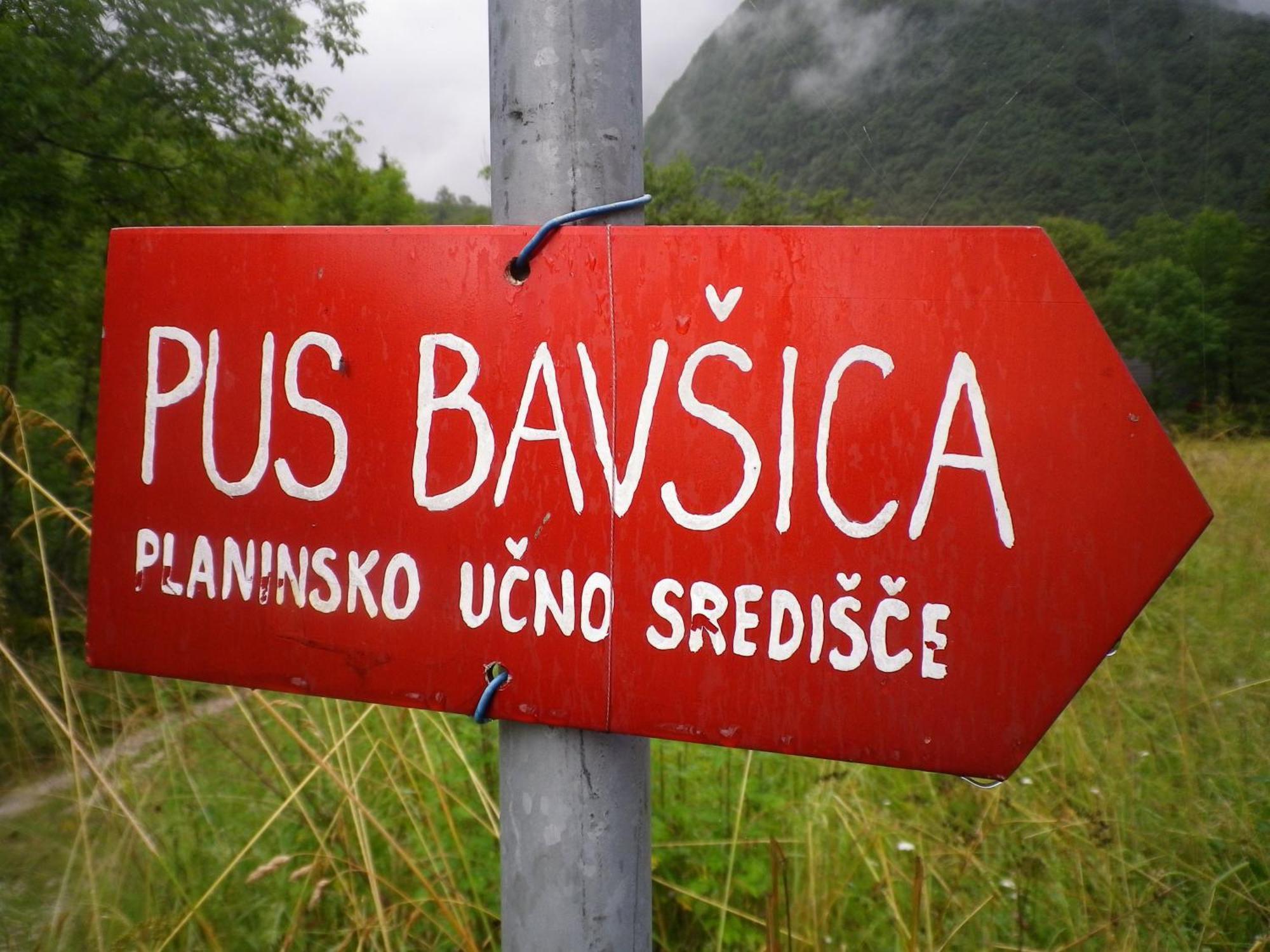 Pus Bavsica Hostel Log pod Mangartom Kültér fotó